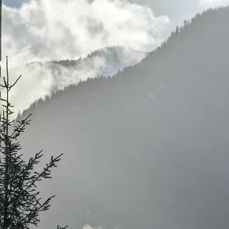 Einzigartiges Berg-chalet In Alleinlage Bis Zu 21 Personen Appartement *