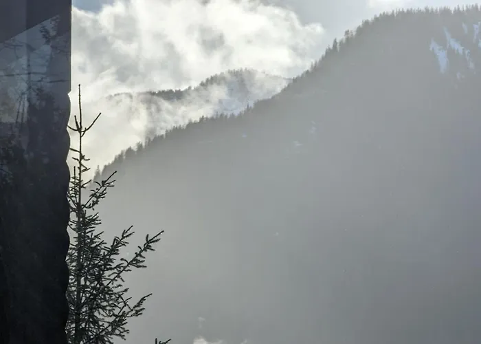 Einzigartiges Berg-chalet In Alleinlage Bis Zu 21 Personen Appartement *